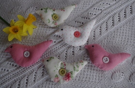 oiseaux oiseaux
