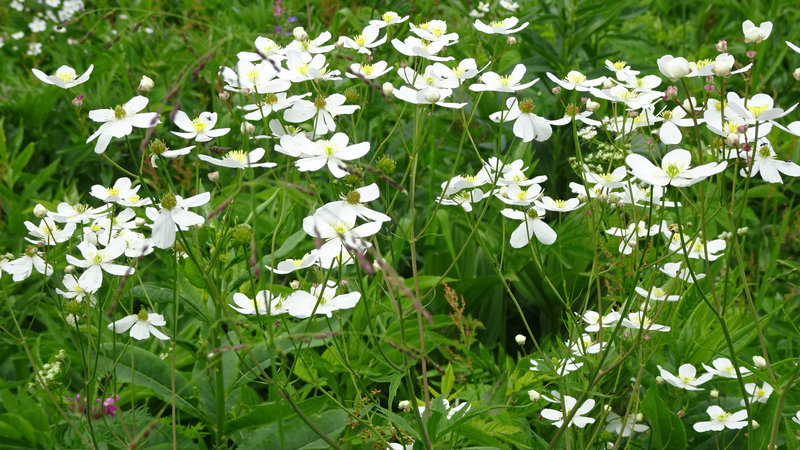 DSC00356