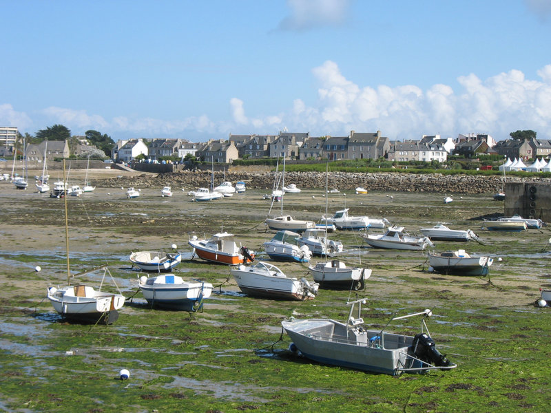 Roscoff, vieux port (29)