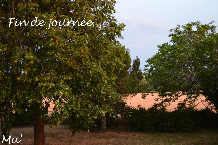 140624_fin_journee0