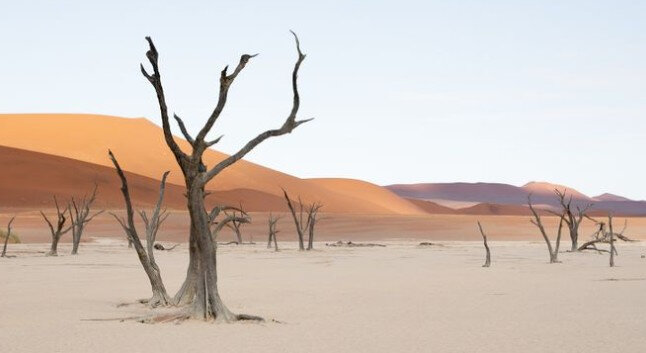 namib1