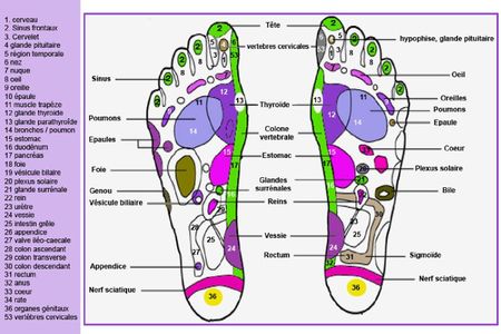 carte-reflexologie-plantaire