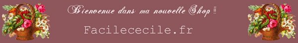 annonce shop blog