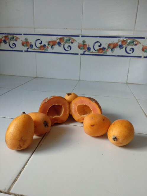 Smoothie de papaye et nèfles (2)