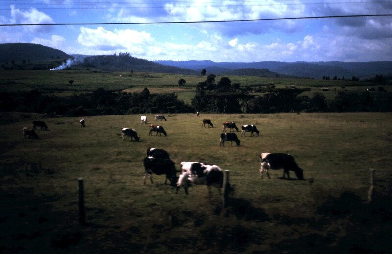 nord kenya t