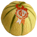 melon_ecrit2