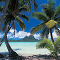 L'organisation du voyage: les <b>bagages</b> avec Air Tahiti et Air tahiti Nui, le décalage horaire, le vol... Tout ça...