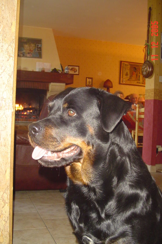 LEYA