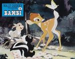 bambi_photo_france_1970s