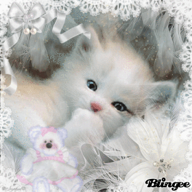 chaton blanc blingee