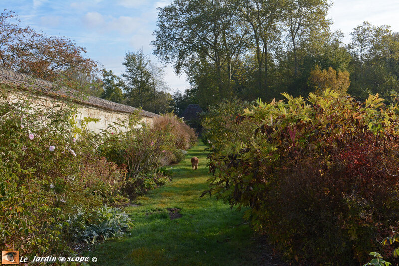 PAT_8965-Berville