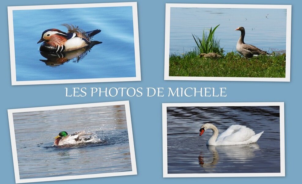 Les photos de Michèle
