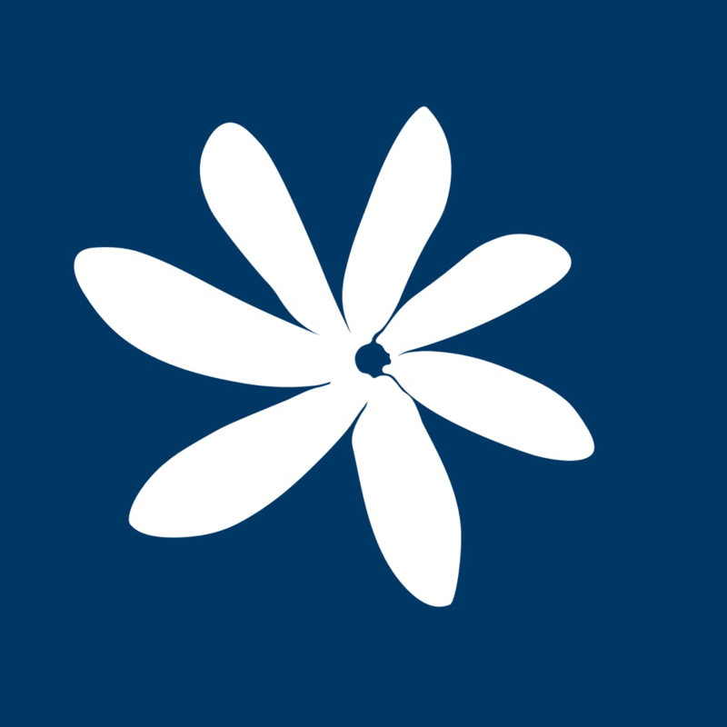 air_tahiti_nui_icon_detail