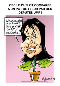 le pot de fleur web