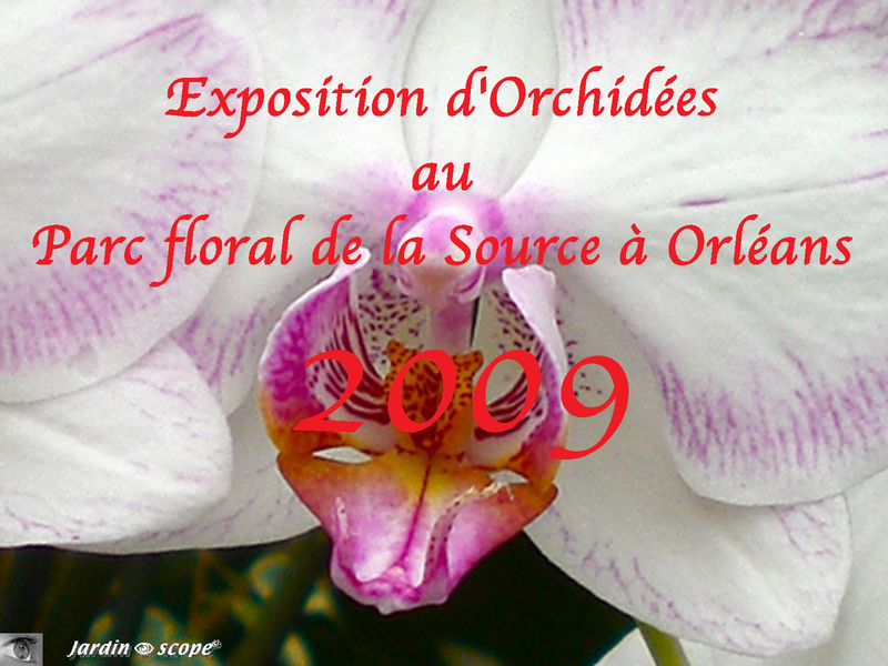 Exposition d'Orchidées 2009