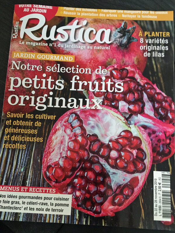 Rustica-Novembre-2019