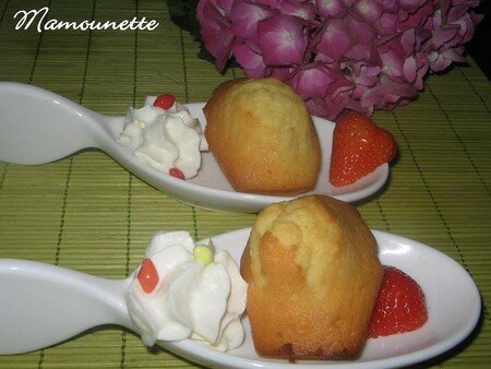 Madeleines___la_fleur_d_oranger_et___la_farine_levante_023