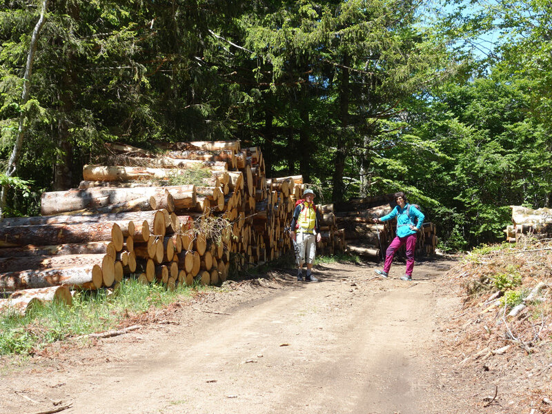 073 Col de Montals