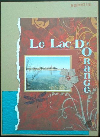 semaine 8 - le lac d'orange