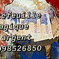 Portefeuille magique homme +22998526850