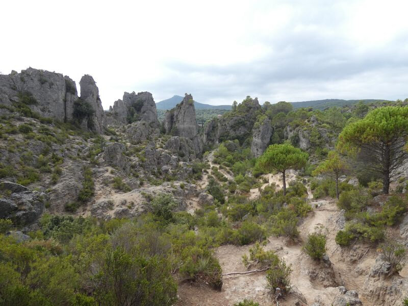 Moureze_13-08-2020(10)