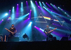 nwszzbritfloyd_3