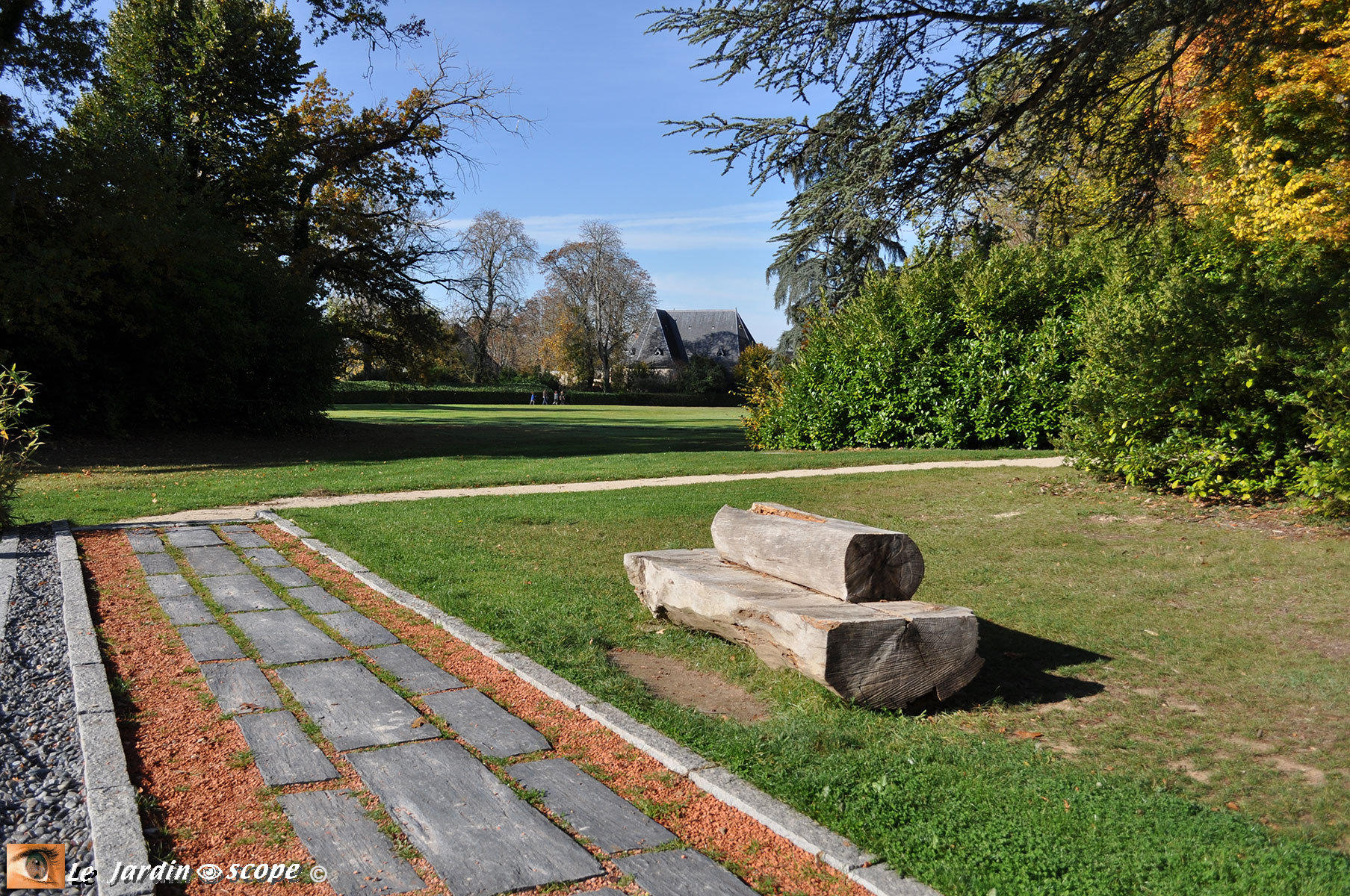 Banc fait de troncs d'arbre - (41 - Chaumont)