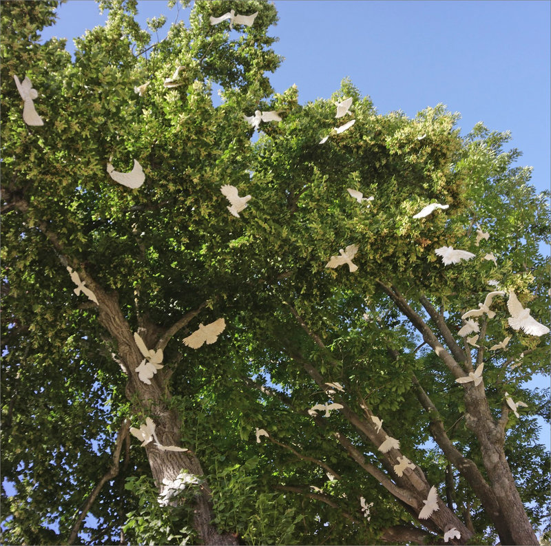 Oiseaux papier arbre 072021 2