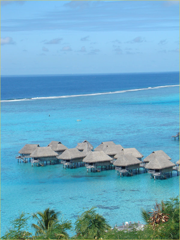 collection_moorea