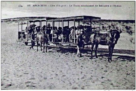 Tram+chevaux