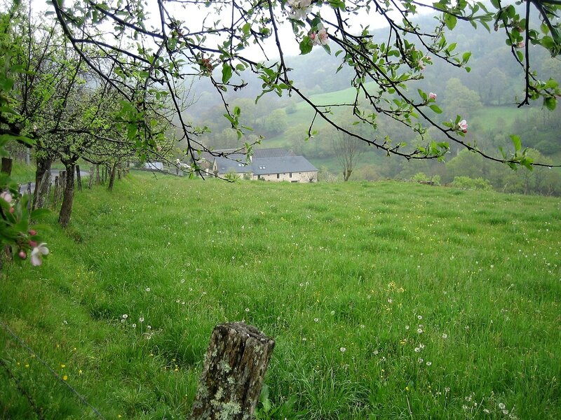 avril 2014 après la pluie 089