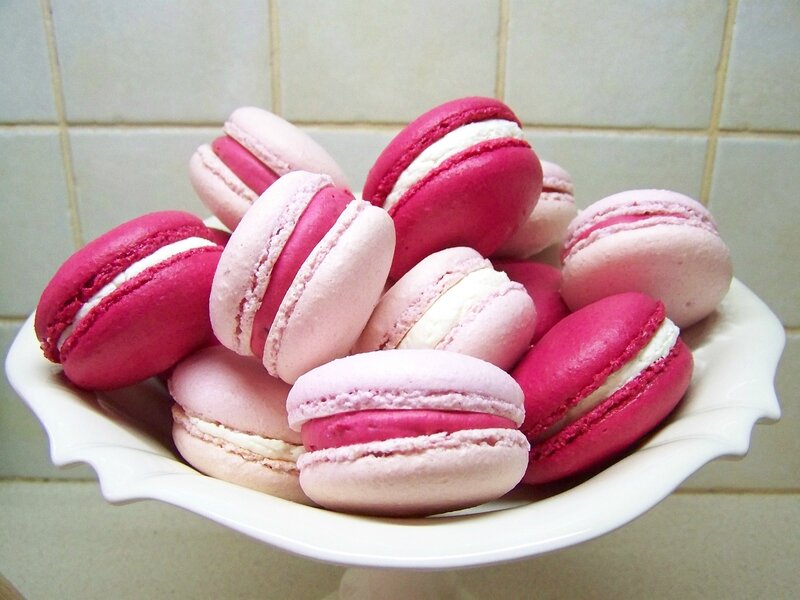 fuscia-macaron