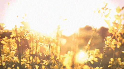tumblr_np6phjcHMQ1ri06y7o1_500