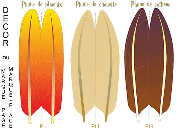 PLUMES_DIVERSES
