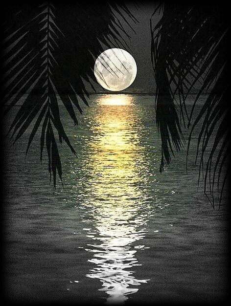 moon