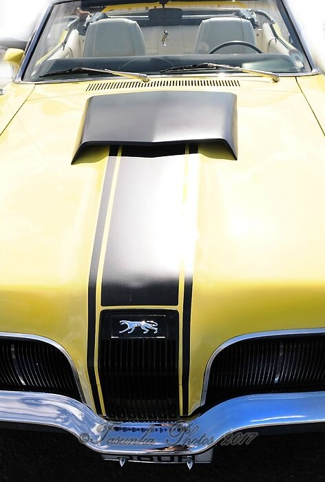 Cougars_SantaPod_tasunka2013_