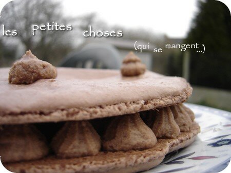 Macaron géant au praliné Macaron géant au praliné