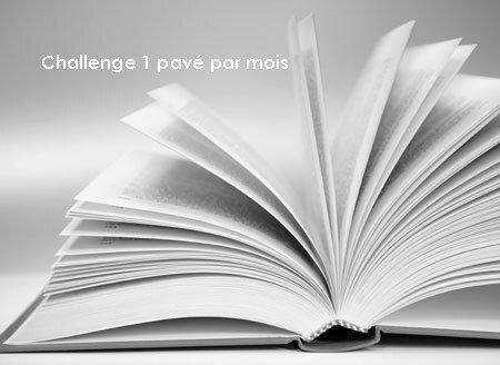 challenge-un-pave-par-mois Bianca