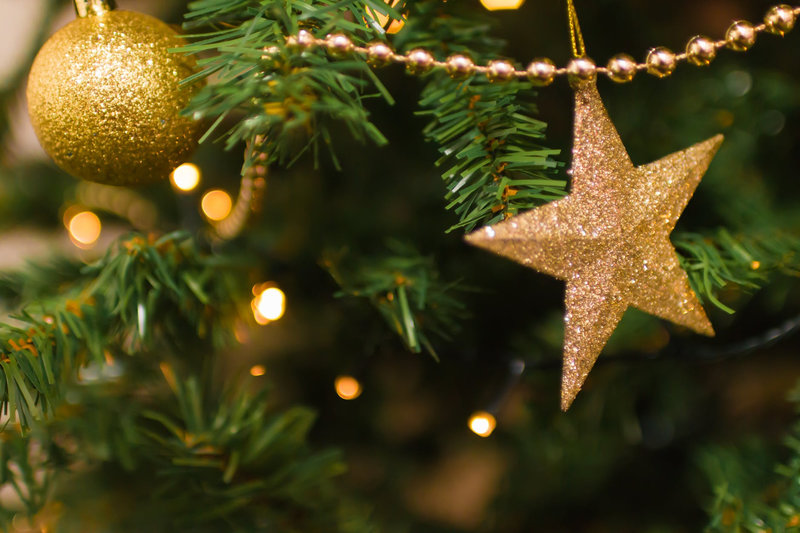 sapin_3