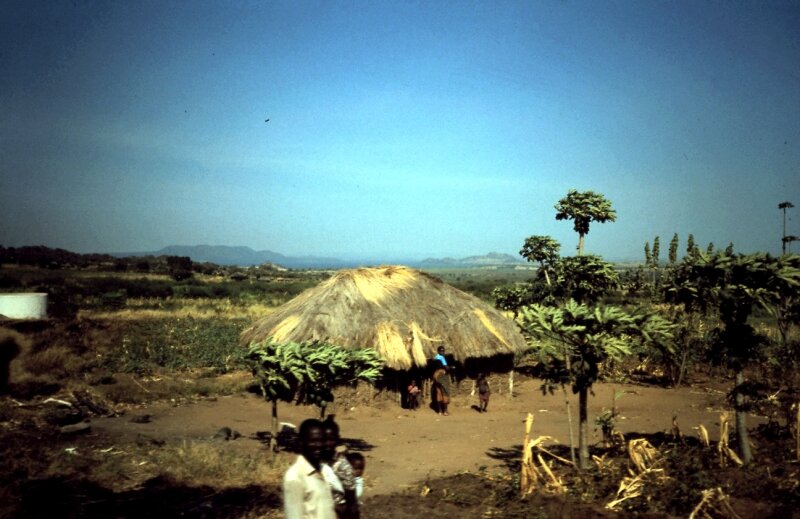 tanzanie 55