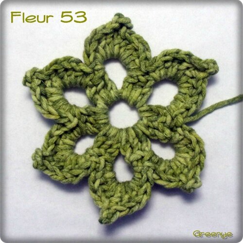 Fleur 53