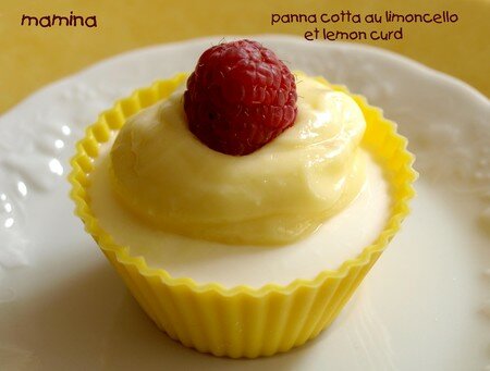 PANNA_COTTA_ET_LEMON_CURD_2