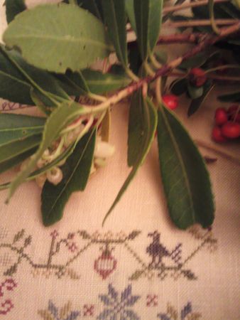 Photo0483