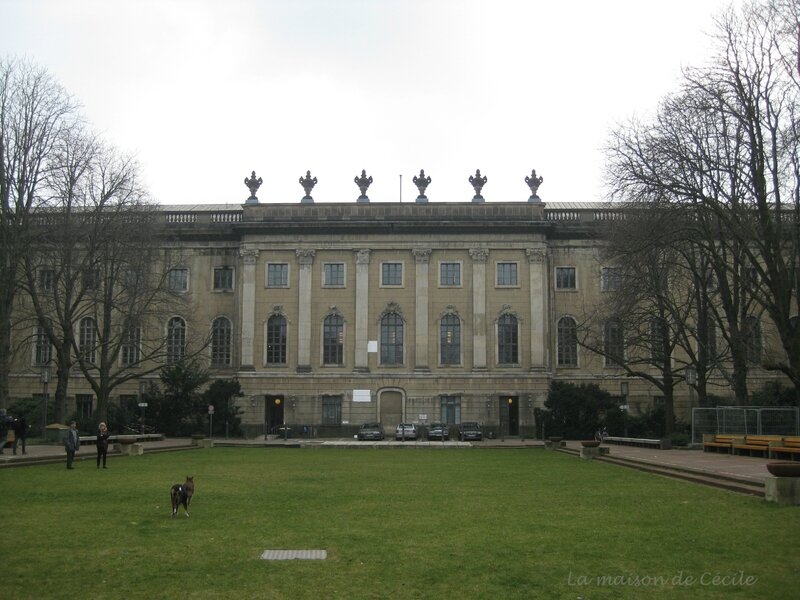 Humboldt Universität jardin