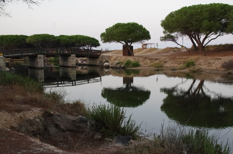 16 Plage Su Barone à Orosei (17)-1