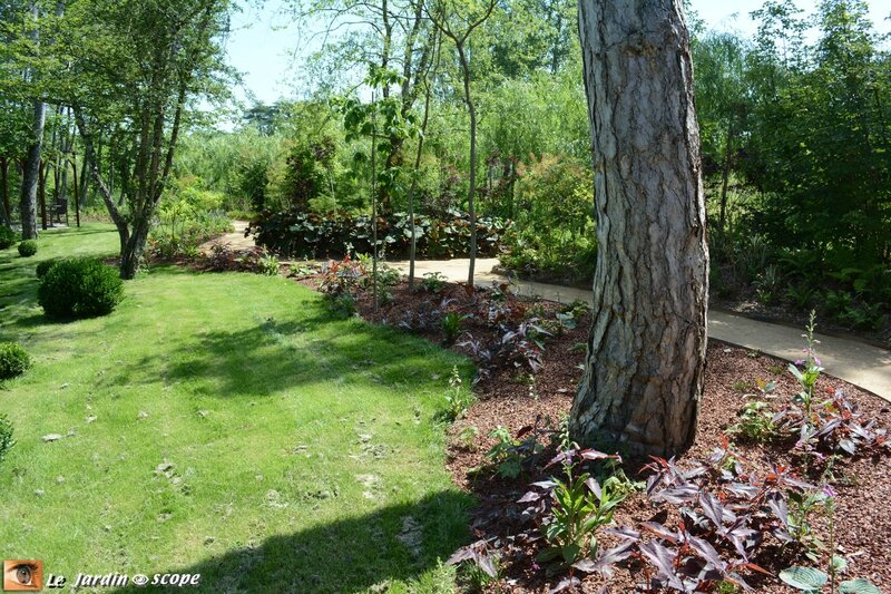 PAT_0159-Jardin-Anglais