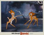 bambi_photo_us_1970s