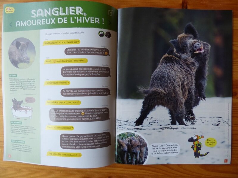 Salamandre Jr 115 (2)