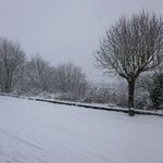 2012-12-039