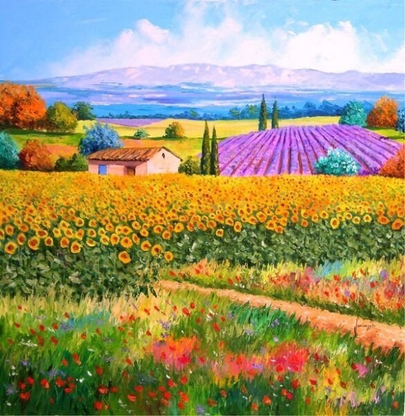 Paysage de Provence